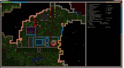 Dwarf Fortress v0.42.05 [Rus / Eng] (2006)